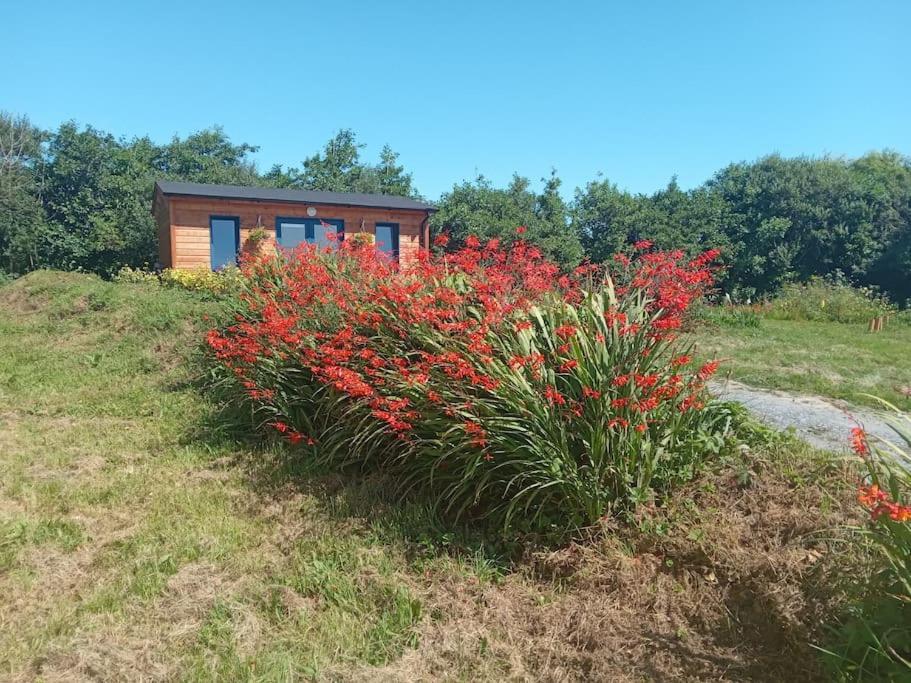 Ceaser'S Cabin Is A Cosy 1 Bedroom Cabin Лехинч Экстерьер фото